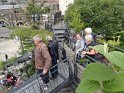 2015-05-30 17-06-08 Nantes-Machines de l'ile DLe